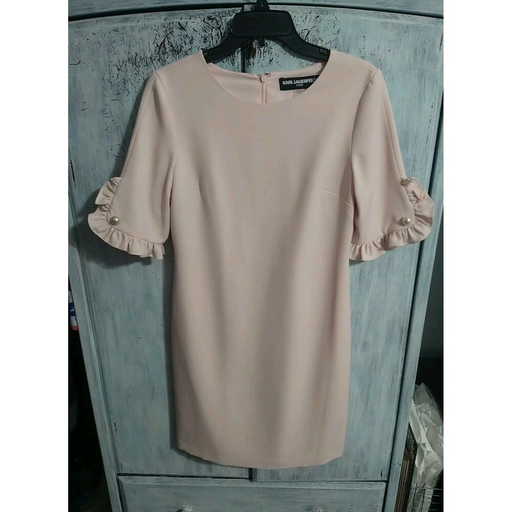 Karl Lagerfeld Are Ruffled Sleeve Dress Size 4 Blush Boho Cottage Core Feminine